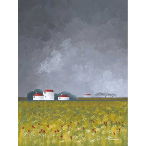 Dark Sky Poppy Fields - Bob Turnbull Image