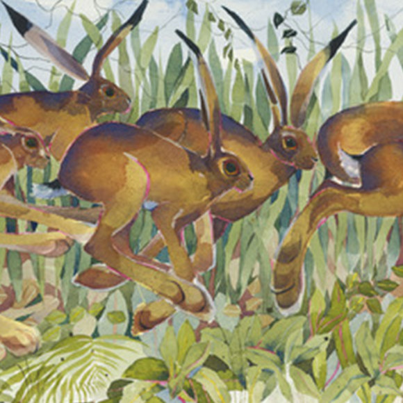 Mary-Ann-Rogers-Drove-of-Hares