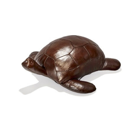 Standard Galapagos Turtle